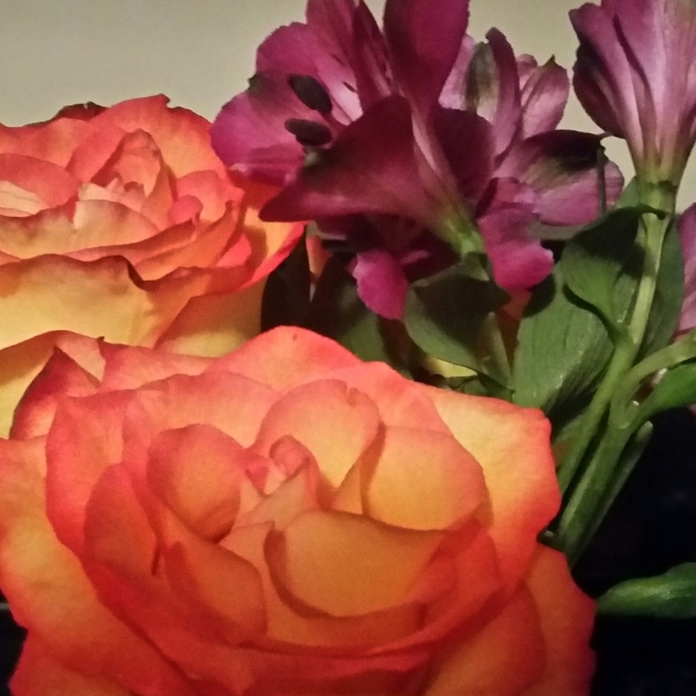 Meet your Posher, Valerie